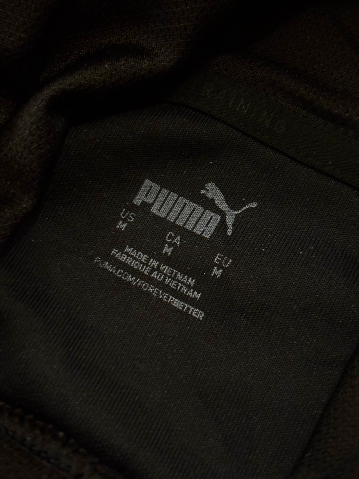 Duks Puma